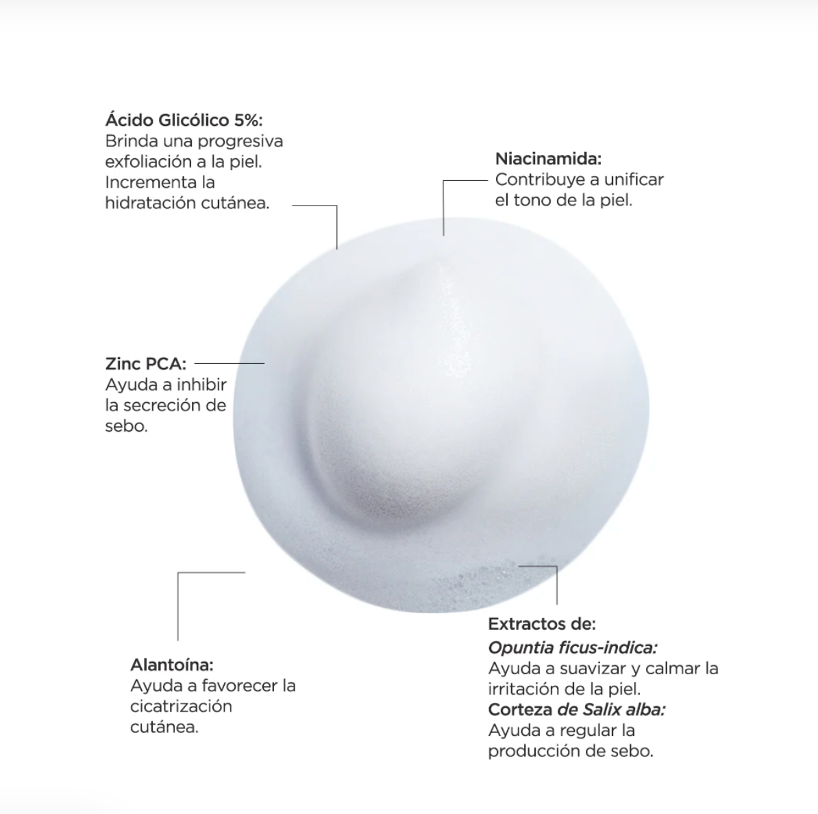 OXIDERMIC FOAMER G5 ESPUMA DERMOLIMPIADORA 200ML.