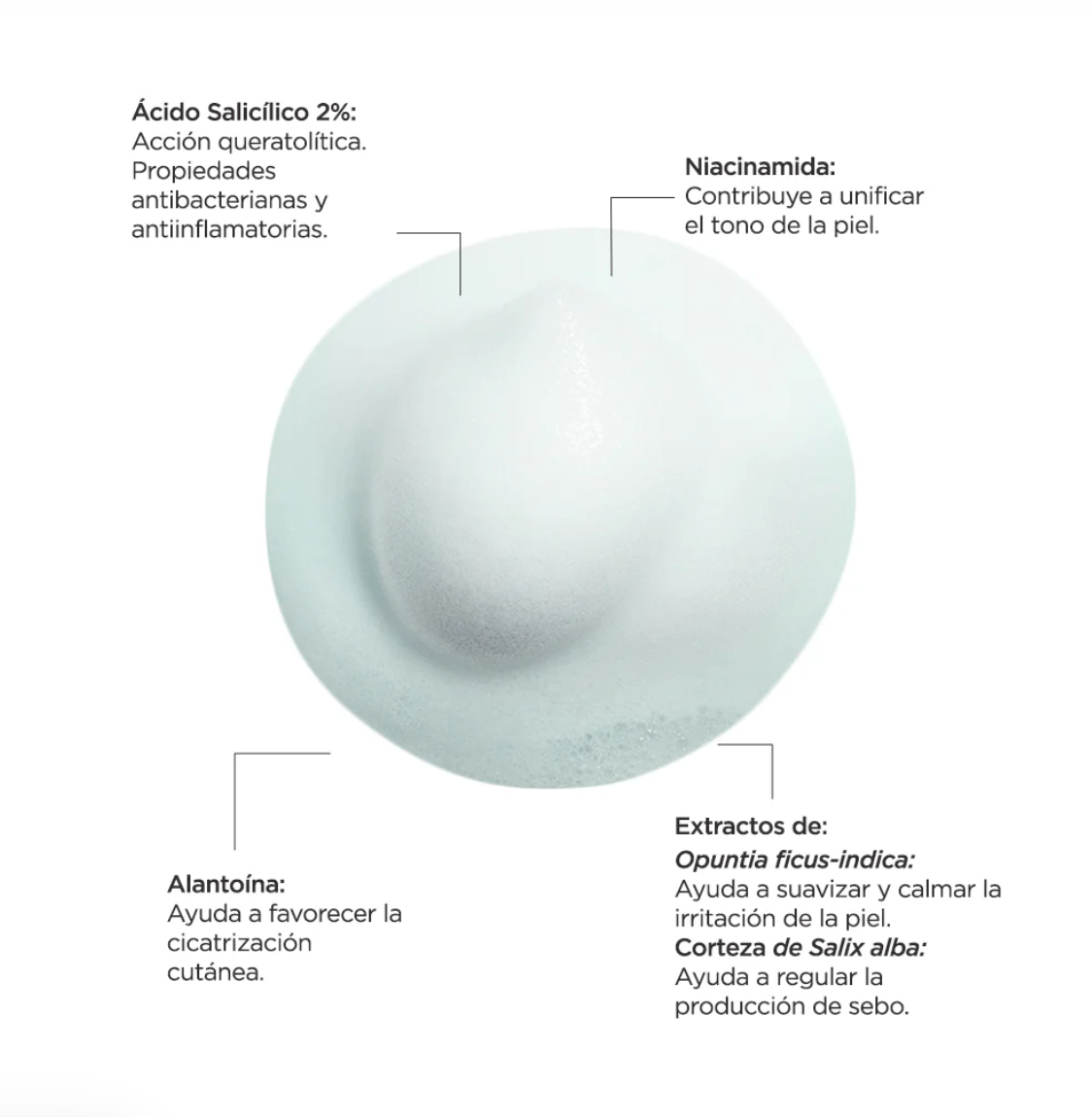 Oxidermic Foamer Forte 200 ml.